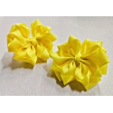 PLAUKŲ GUMYTĖ