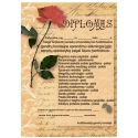DIPLOMAS SENELIAMS