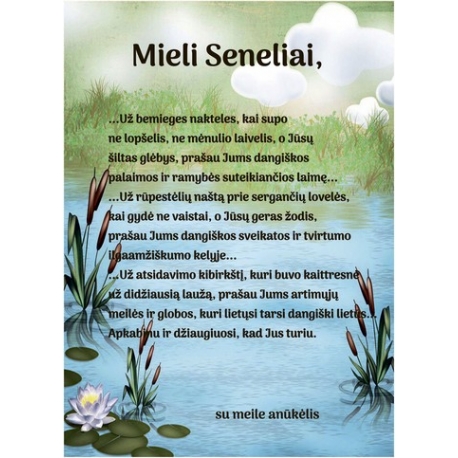 PADĖKA SENELIAMS