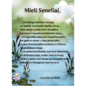 PADĖKA SENELIAMS