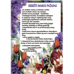 KRIKŠTO MAMOS PASIŽADĖJIMAS SŪNELIUI