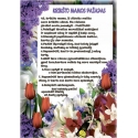 KRIKŠTO MAMOS PASIŽADĖJIMAS SŪNELIUI
