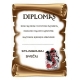 DIPLOMAS STILINGIAUSIAM SVEČIUI