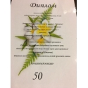 Diplomas