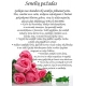 Pasižadėjimas