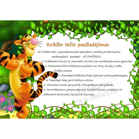 Pasižadėjimas