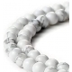 HOVLITO KAROLIUKAI